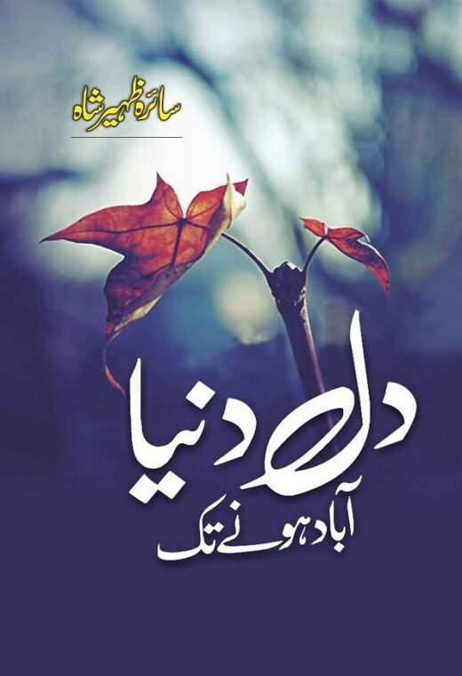 dil dunya abad honay tak complete novel cover
