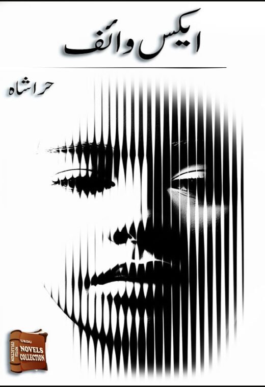 ex wife urdu novel cover