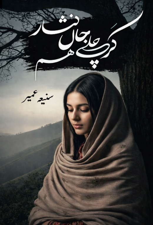 kar chale jaan nisar hum novel cover