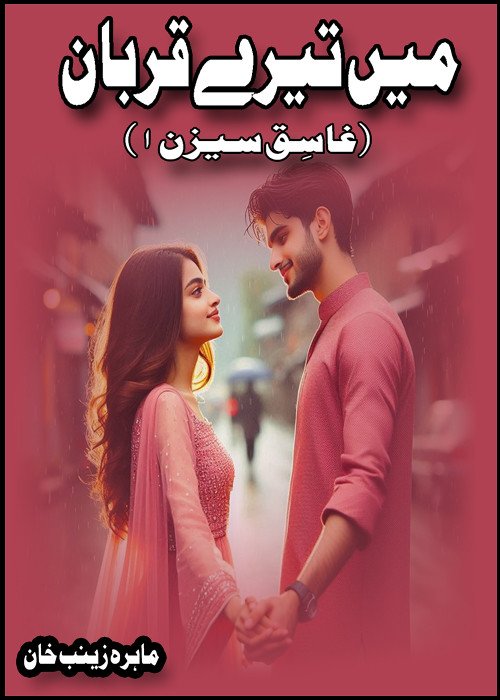 main tere qurban season 1 novel cover