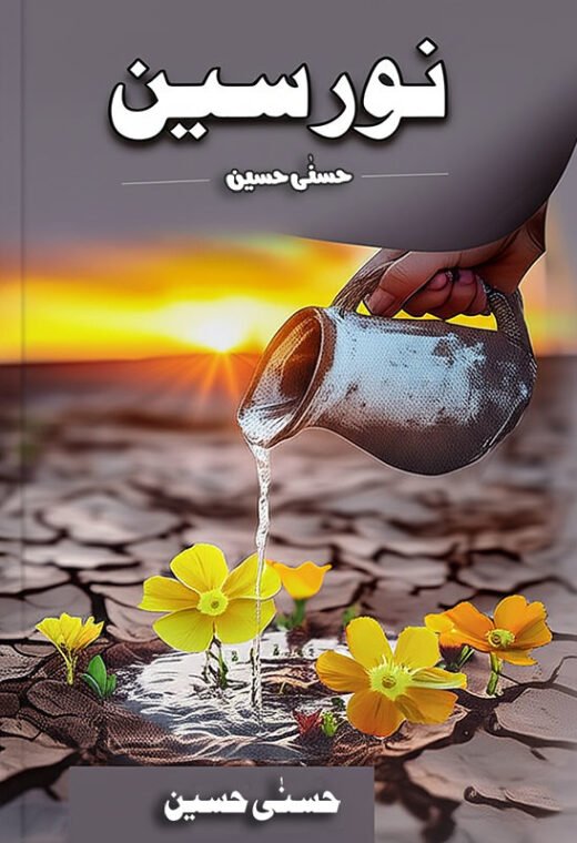 noorseen novel cover