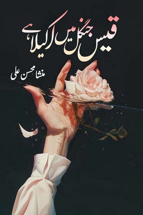 qais jungle me akela hai novel cover