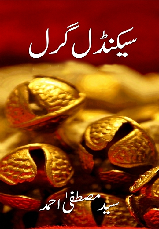 scandal girl novel cover