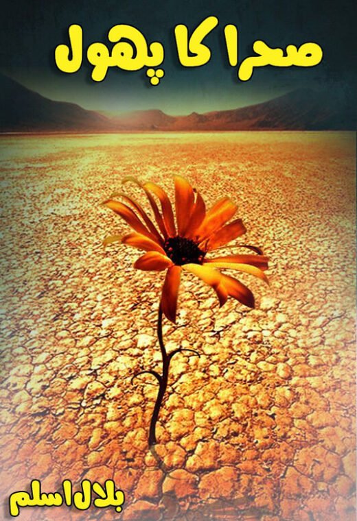sehra ka phool complete novel cover