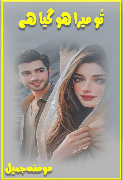 tu mera hogia hai novel pdf download cover