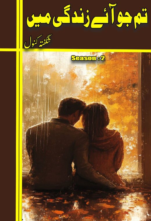 tum jo aye zindagi mein season 2 novel cover